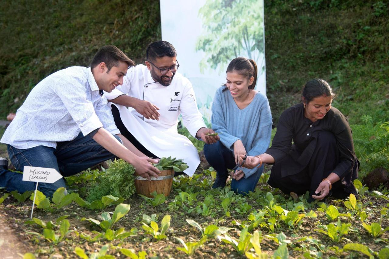 Jw Marriott Mussoorie Walnut Grove Resort & Spa Экстерьер фото
